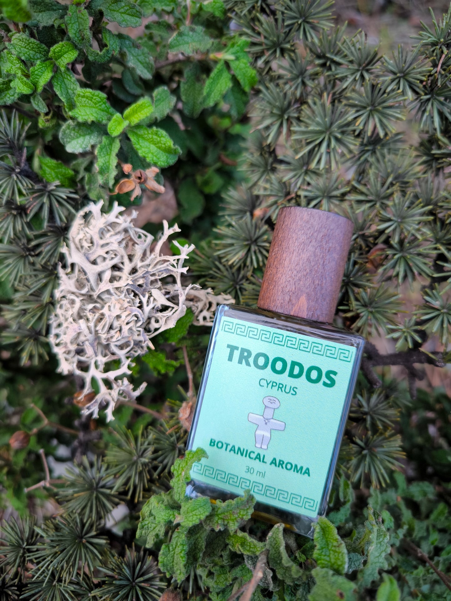 TROODOS / ΤΡΟΟΔΟΣ botanical aroma - part of the olfactive impressions of Cyprus series