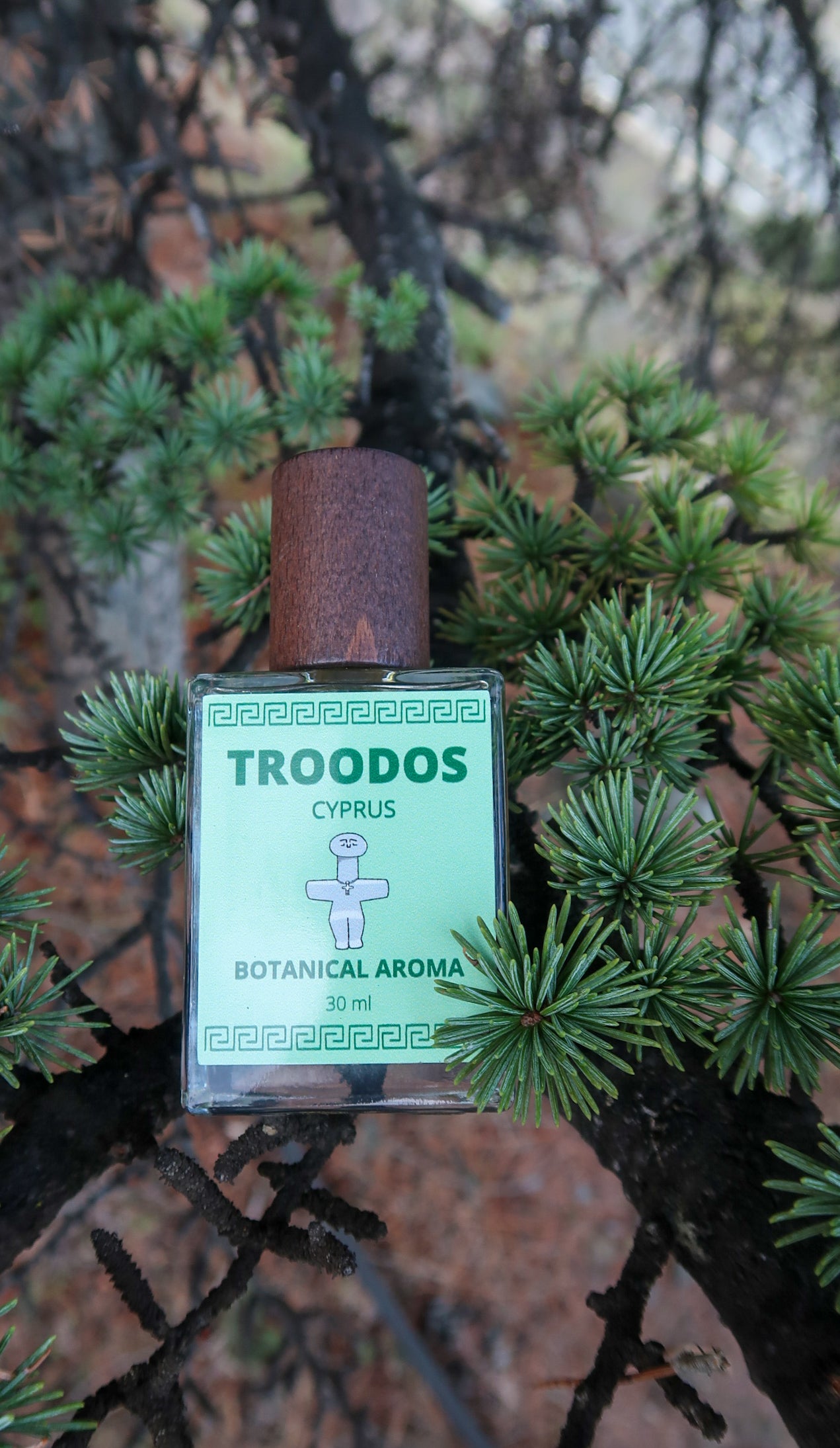 TROODOS / ΤΡΟΟΔΟΣ botanical aroma - part of the olfactive impressions of Cyprus series
