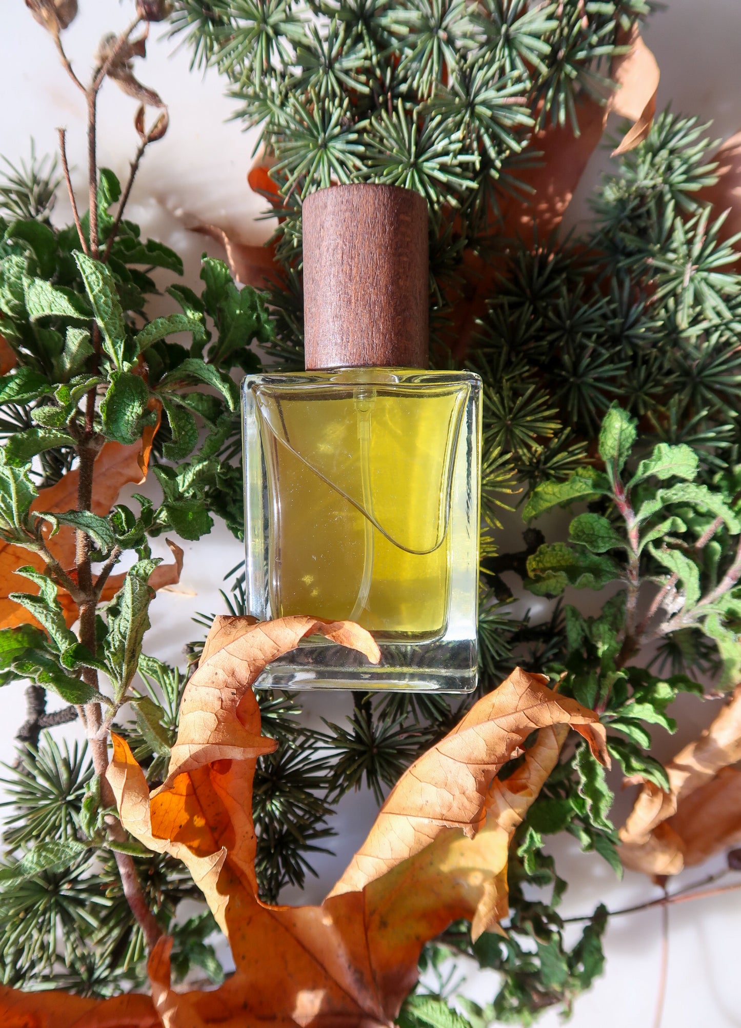 TROODOS / ΤΡΟΟΔΟΣ botanical aroma - part of the olfactive impressions of Cyprus series