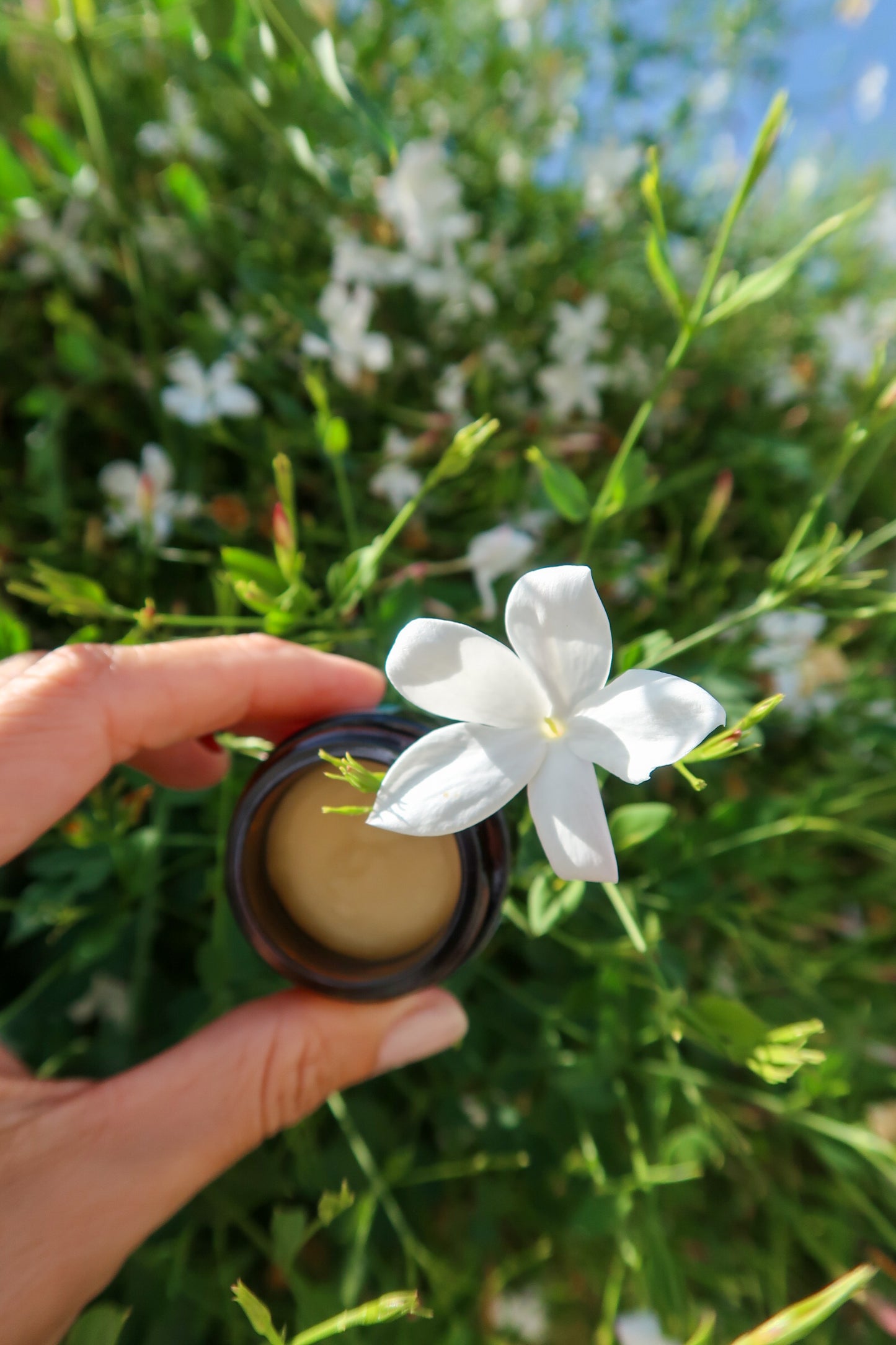 PARALIA / ΠΑΡΑΛΊΑ solid botanical aroma - a floral Chypre style scent