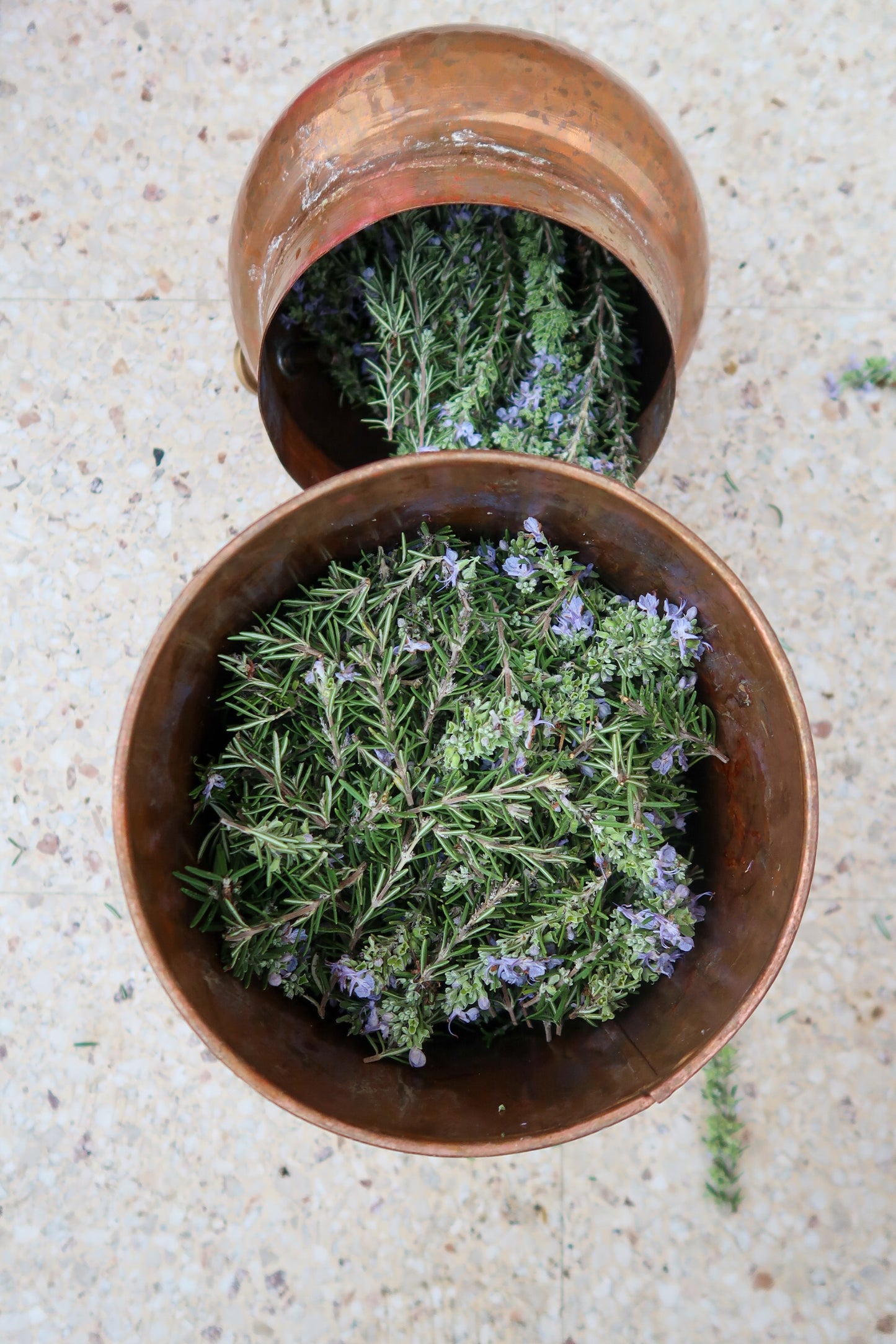 ROSEMARY HYDROSOL / Salvia rosmarinus plant water