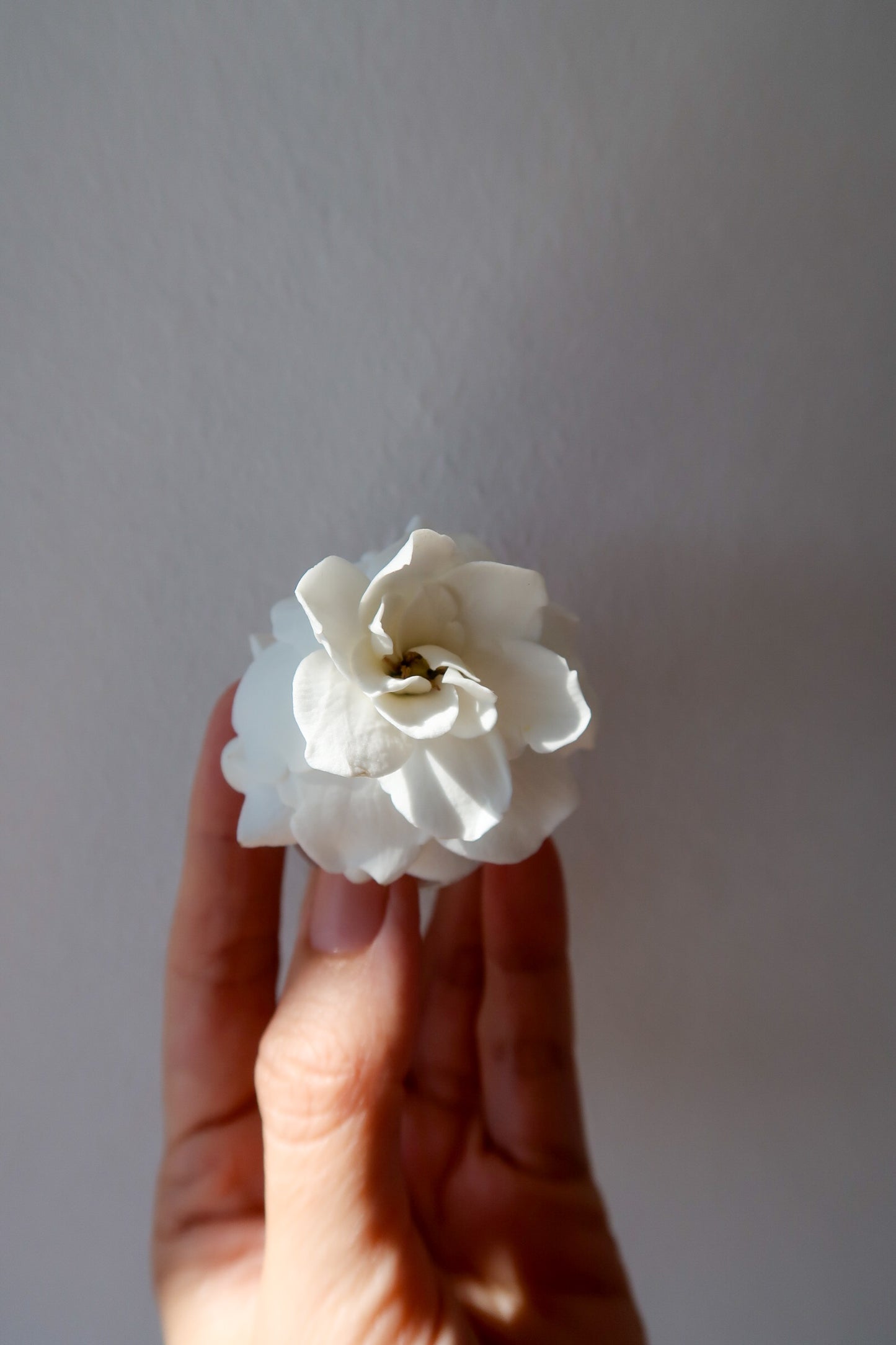 GARDENIA, JASMINE enfleurage / solid aroma