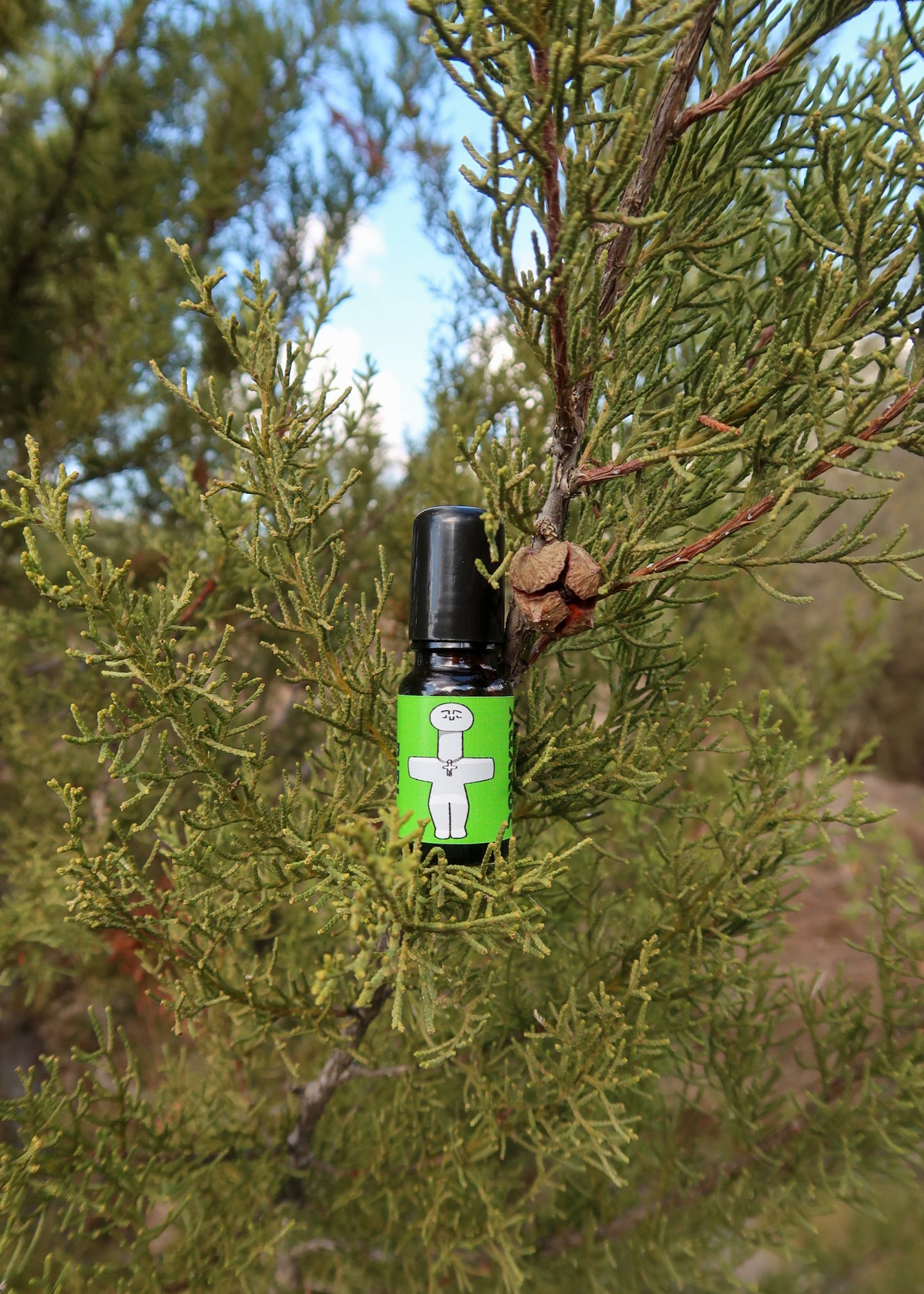 PIPI MOUNTAIN / ΤΟ ΒΟΥΝΌ ΤΟΥ ΠΙΠΗ perfume oil - woody amber, 10 ml