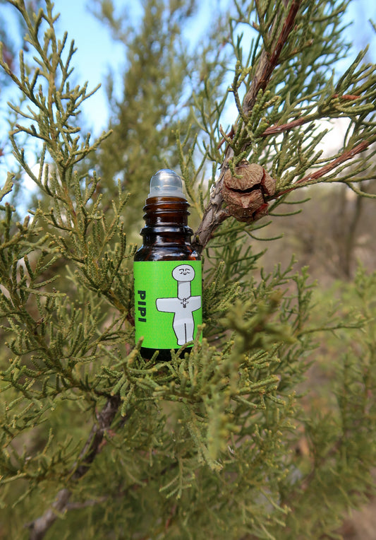 PIPI MOUNTAIN / ΤΟ ΒΟΥΝΌ ΤΟΥ ΠΙΠΗ roll on botanical aroma - woody amber, 10 ml