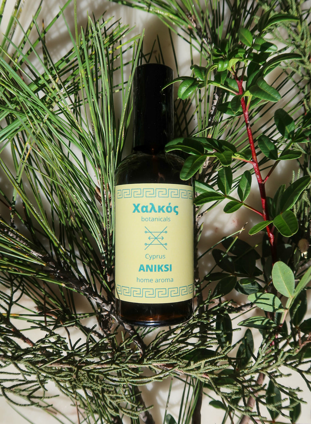 ANIKSI home aroma