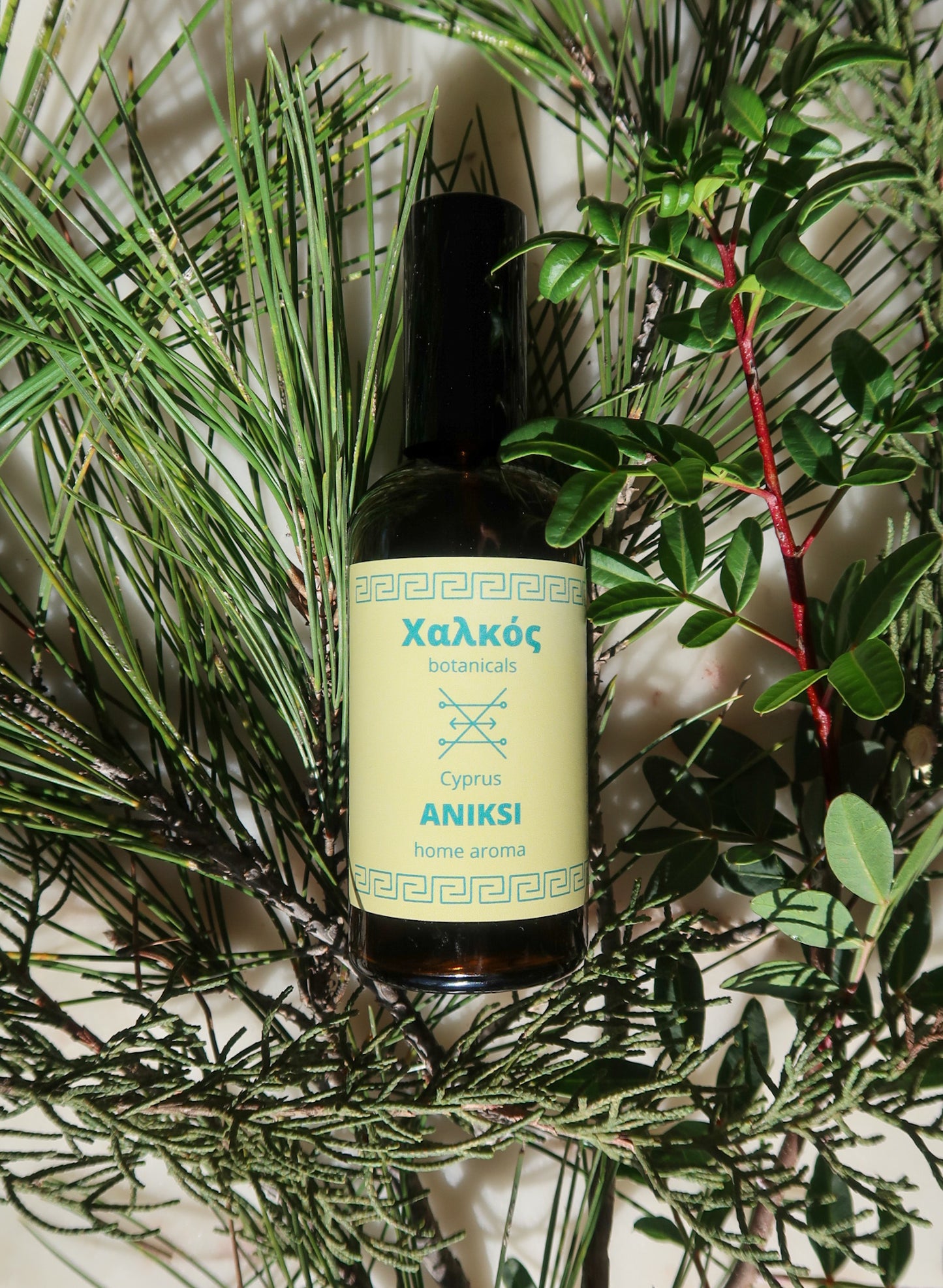 ANIKSI HOME AROMA, 100 ml