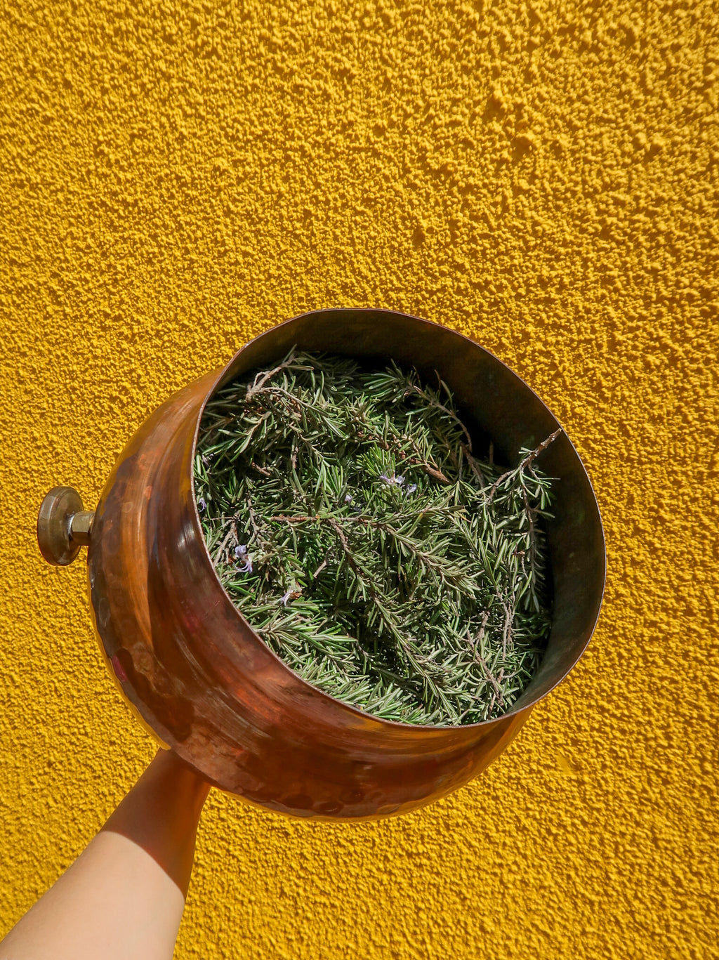 ROSEMARY HYDROSOL / Salvia rosmarinus plant water