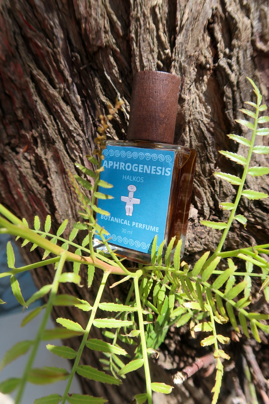 APHROGENESIS / ΑΦΡΟΓΈΝΝΗΣΗ botanical perfume, spring - summer 2026