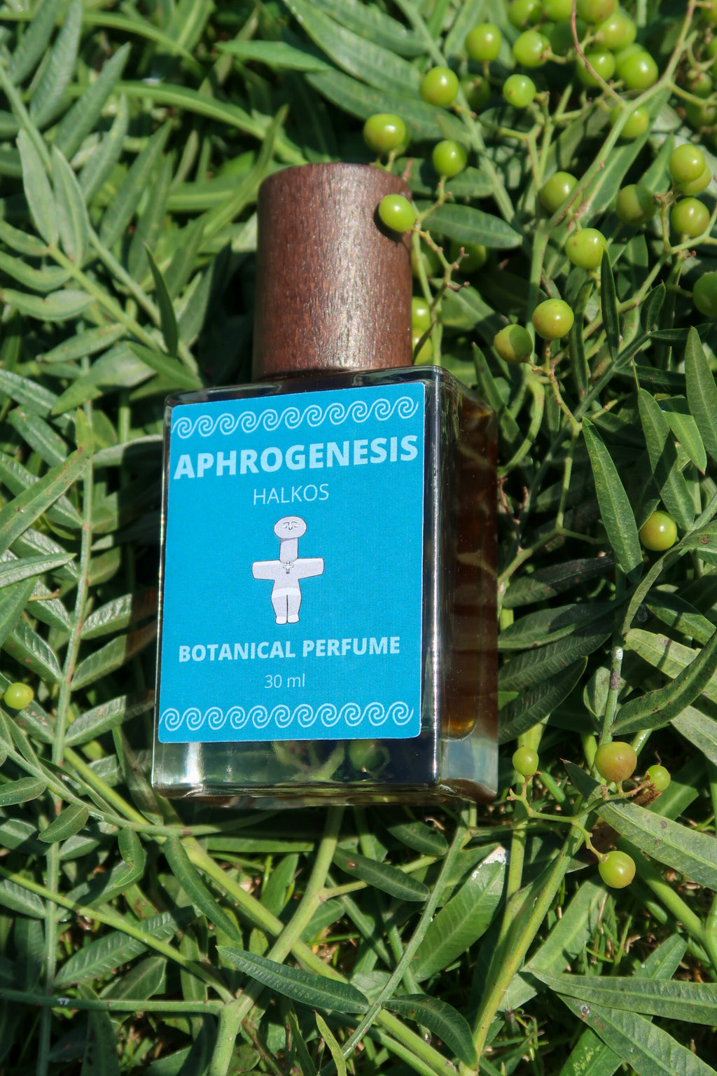 APHROGENESIS / ΑΦΡΟΓΈΝΝΗΣΗ botanical perfume, spring - summer 2026