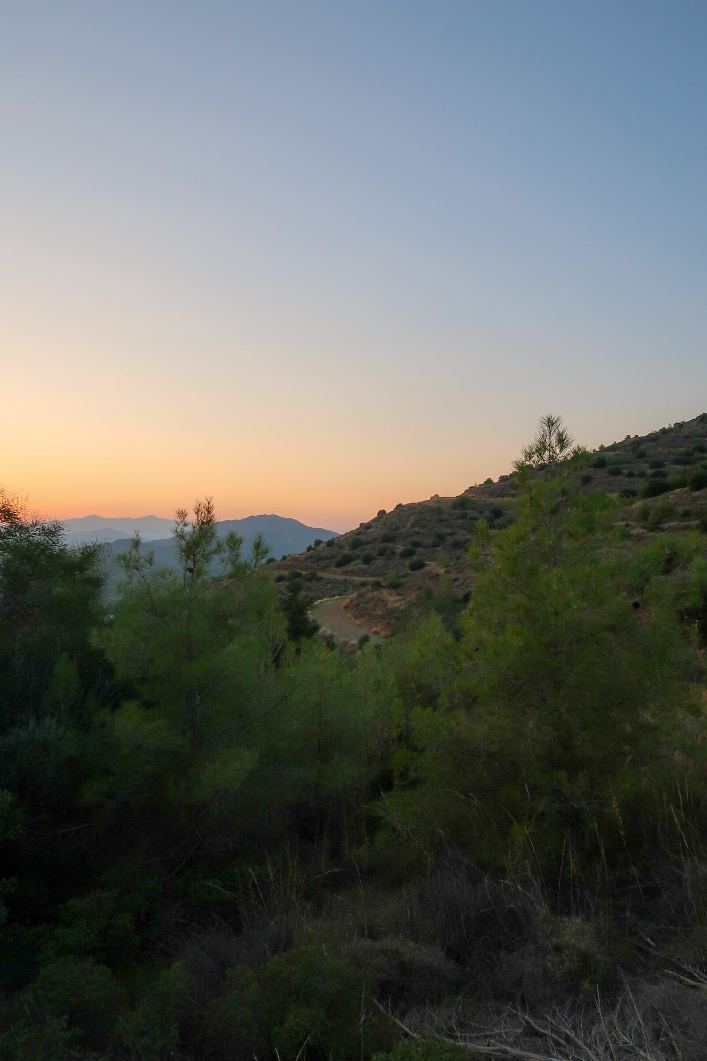 PYRGA / ΠΥΡΓΑ botanical aroma - part of the olfactive impressions of Cyprus series