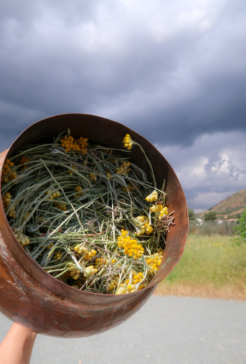 MELI / ΜΈΛΙ solid botanical perfume