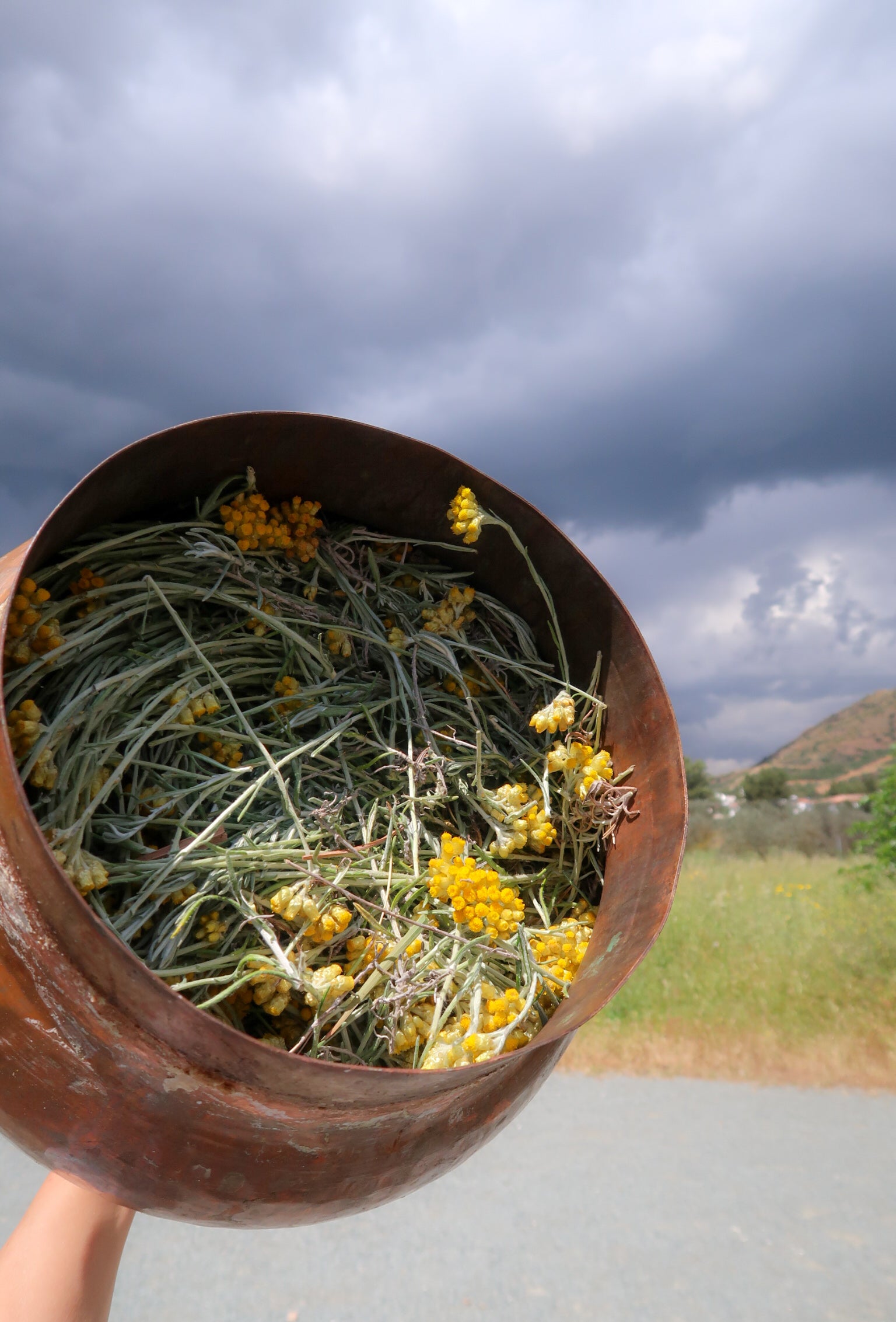 MELI / ΜΈΛΙ solid botanical perfume